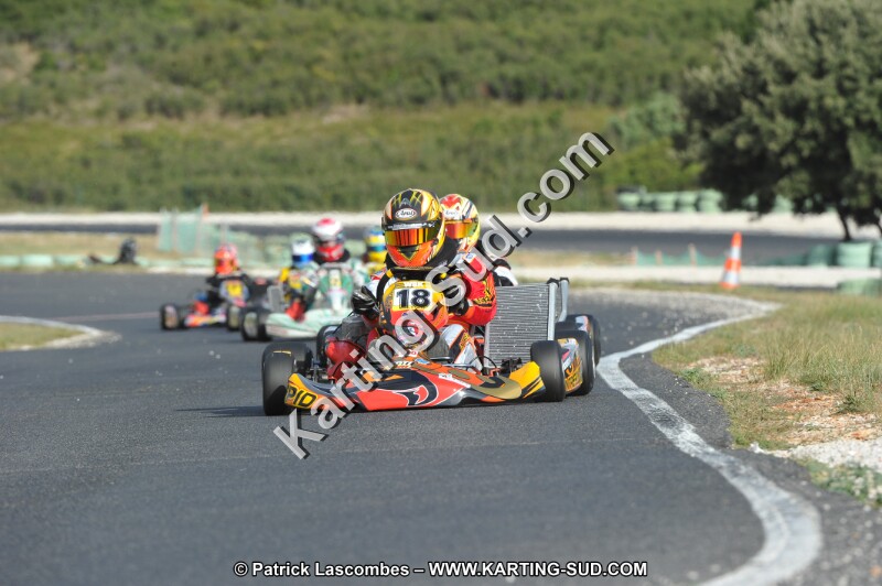 DSC (3967).JPG